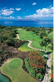 Hawaii Maui Wailea golf Emerald course